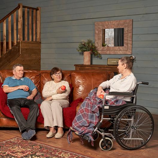 Кресло-коляска для инвалидов Армед 2500 2