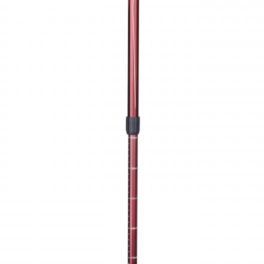 Палки для скандинавской ходьбы Армед STC033 10