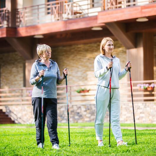 Палки для скандинавской ходьбы Армед STC033 2