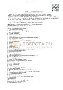 РОСС RU.Д-PL.АБ69.В.04206/20 (1). Кресло-коляска  Akces-med Рейсер-3