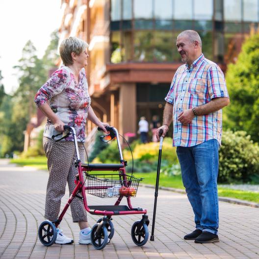 Ходунки-роллаторы для инвалидов и пожилых людей Армед FS914H 2