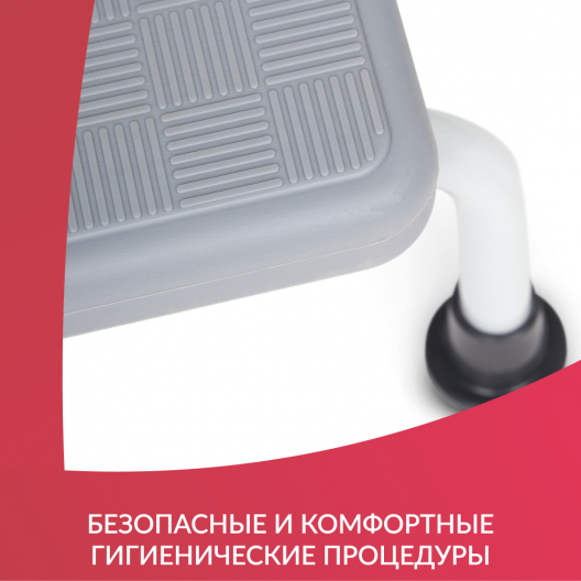 СТУПЕНЬ С РУЧКОЙ Армед LUX  10