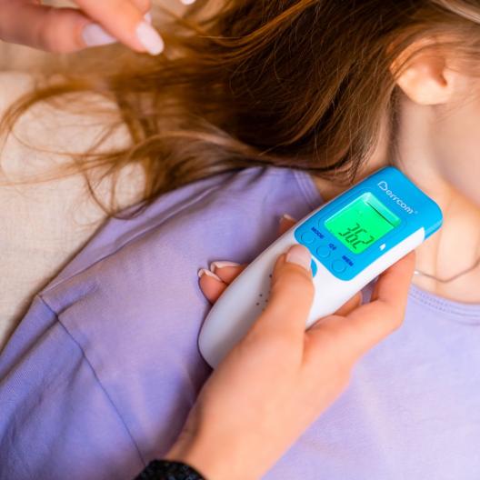 Бесконтактный инфракрасный термометр Berrcom JXB-183 13