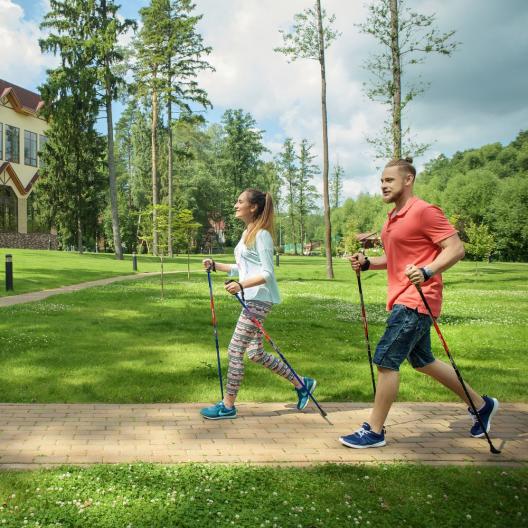 Палки для скандинавской ходьбы Армед STC031 13