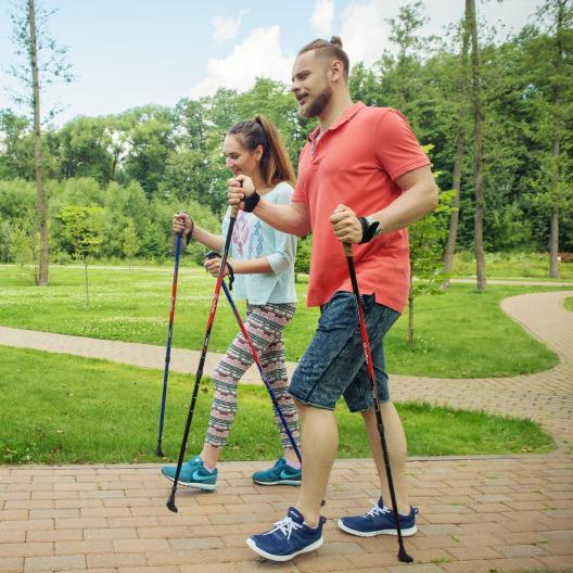 Палки для скандинавской ходьбы Армед STC031 11