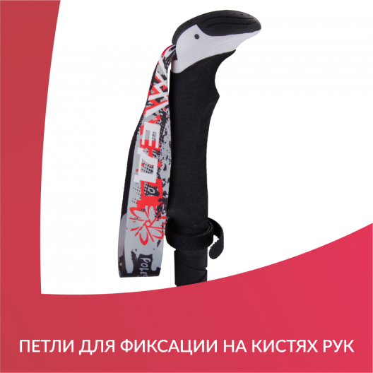 Палки для скандинавской ходьбы Армед STC037 5